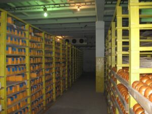 Склады хранения (готовая продукция, сырохранилища)
